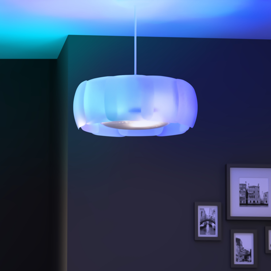 We present Bloom - the first lampshade for our smart Model F!